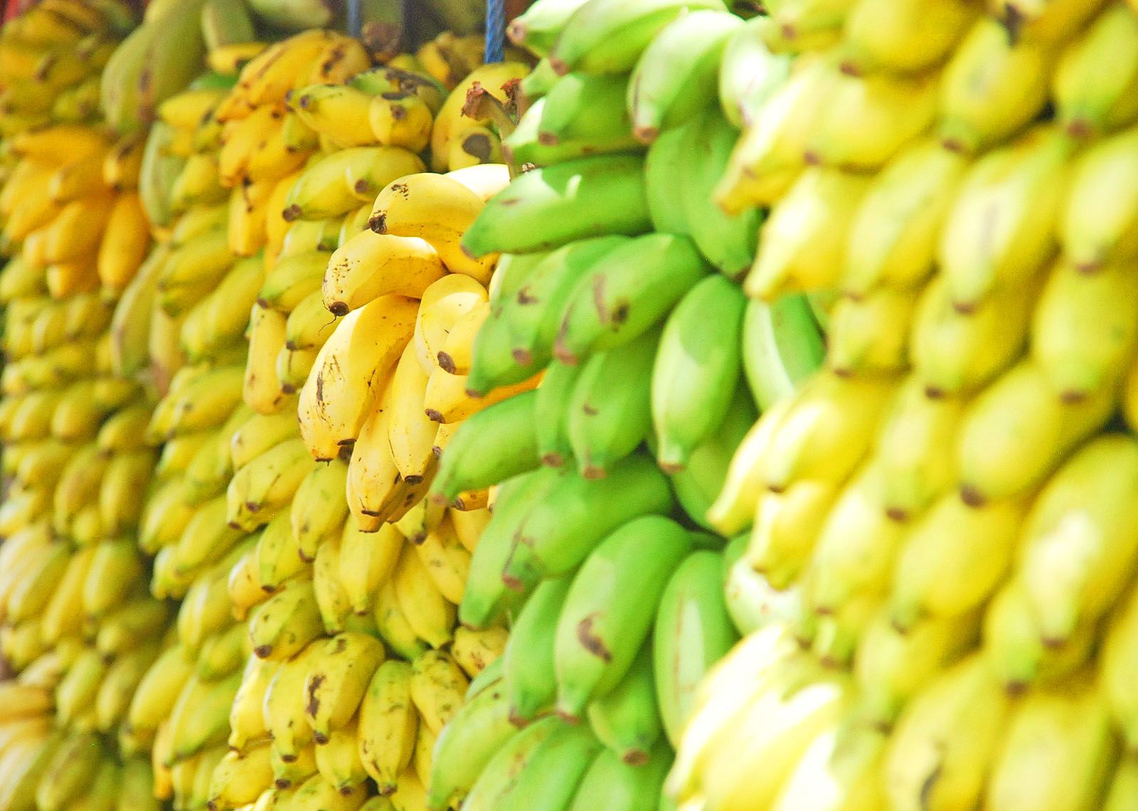 Supply Chain 2.0:Digitizing Bananas