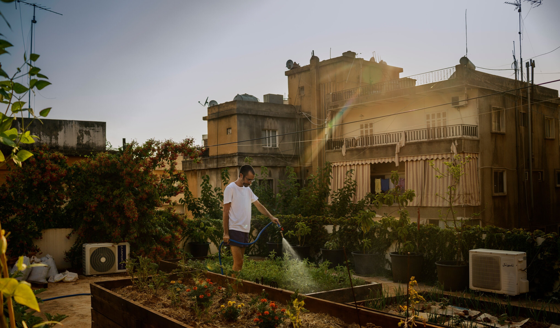  A Hungry Lebanon Returns to Family Farms to Feed Itself