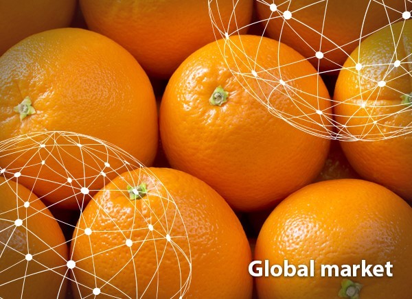 OVERVIEW GLOBAL ORANGE MARKET