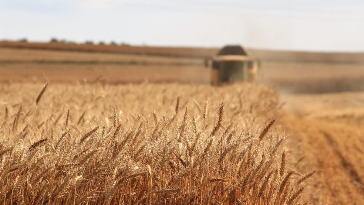 Grain Trade Becoming More Digitized, Agro.Club Expands B2B Grain  Marketplace Into Brazil