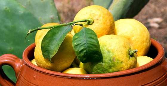 Types of lemon: