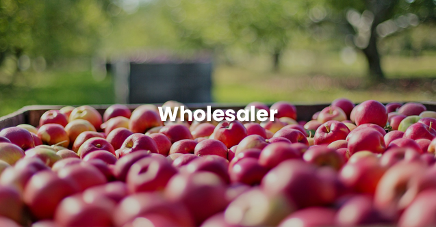 Wholesaler